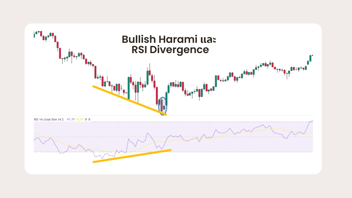 ตัวอย่างจริงของ Bullish Harami ในการดำเนินการ