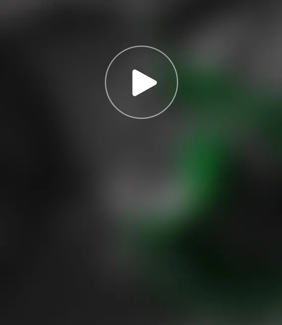 Video_1.webp