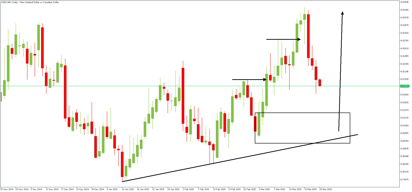 NZDCADDaily_(4).png