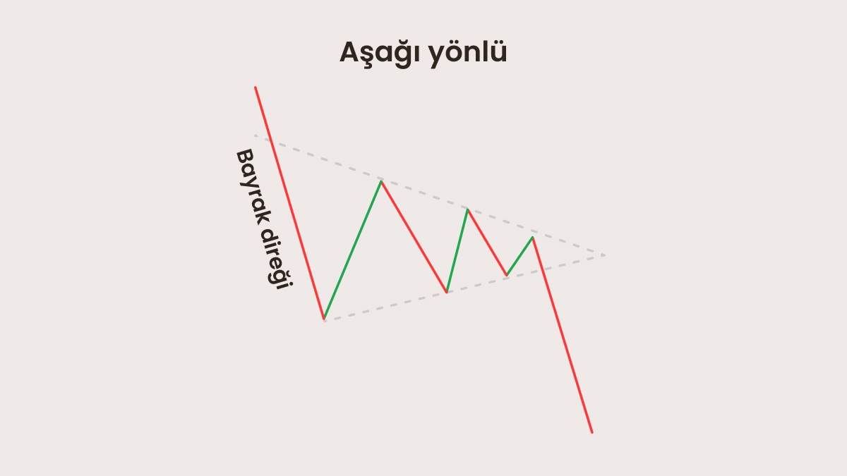 Ayı flaması
