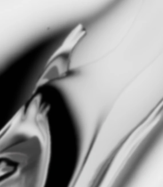 Handbook_8.webp