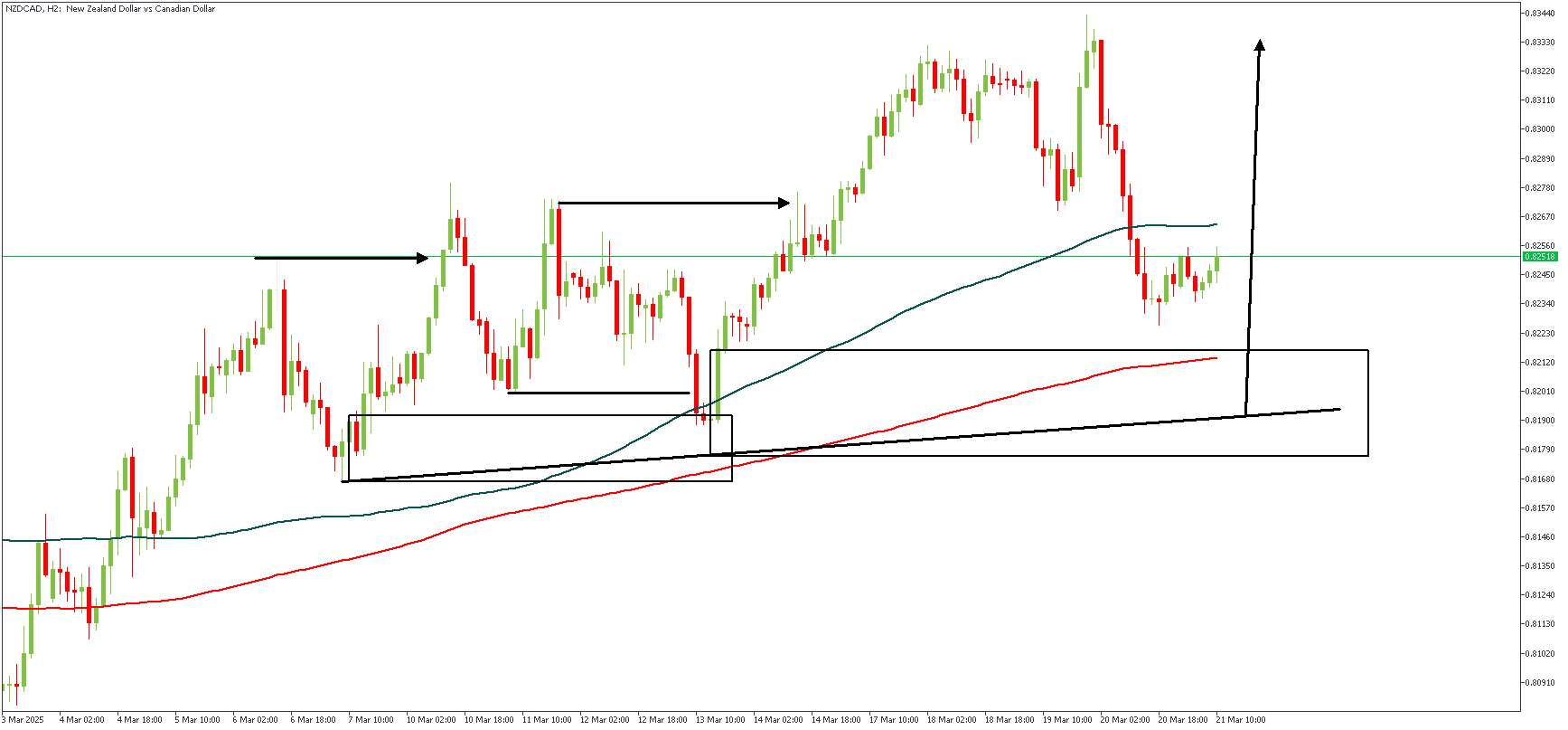 NZDCADH2_(2).png