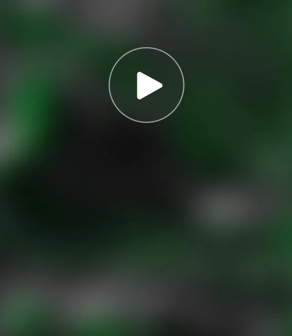 Video_7.webp