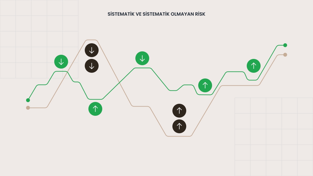 Sistematik olmayan riskler