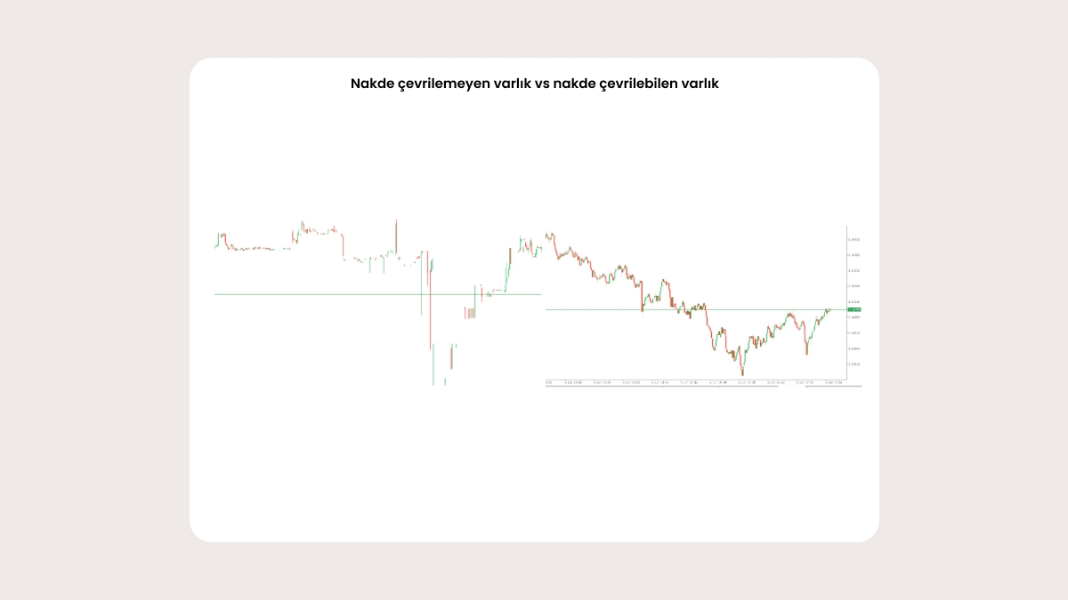 Nakde çevrilemeyen varlık vs nakde çevrilebilen varlık