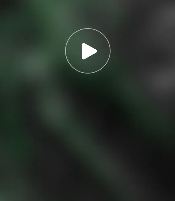 Video_3.webp