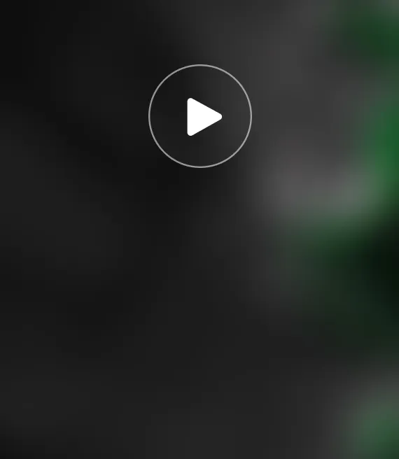 Video_4.webp