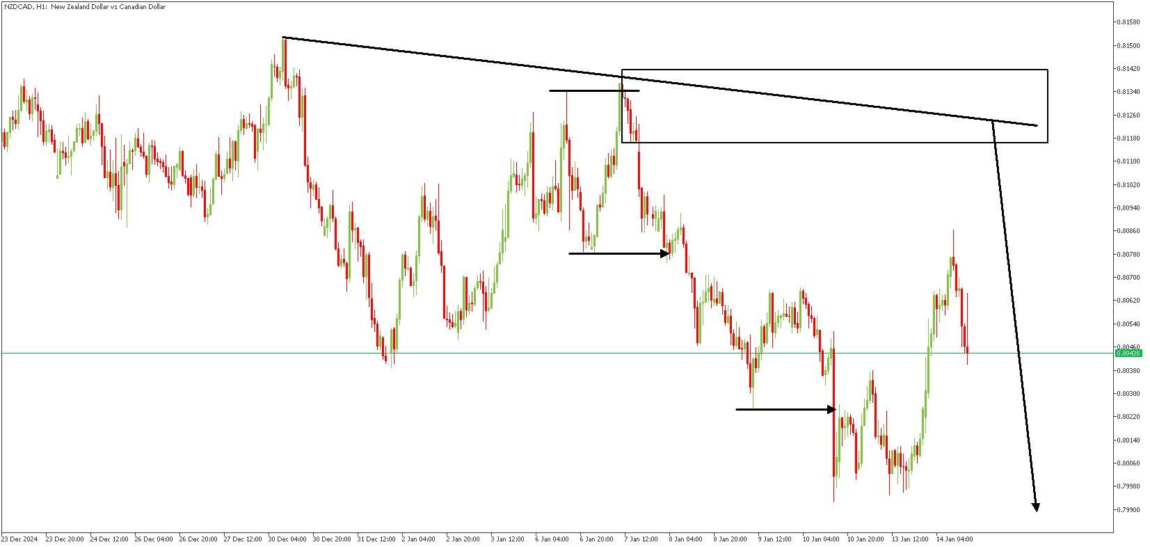 NZDCADH1_(2).png