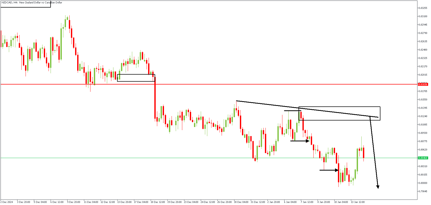 NZDCADH4_(5).png