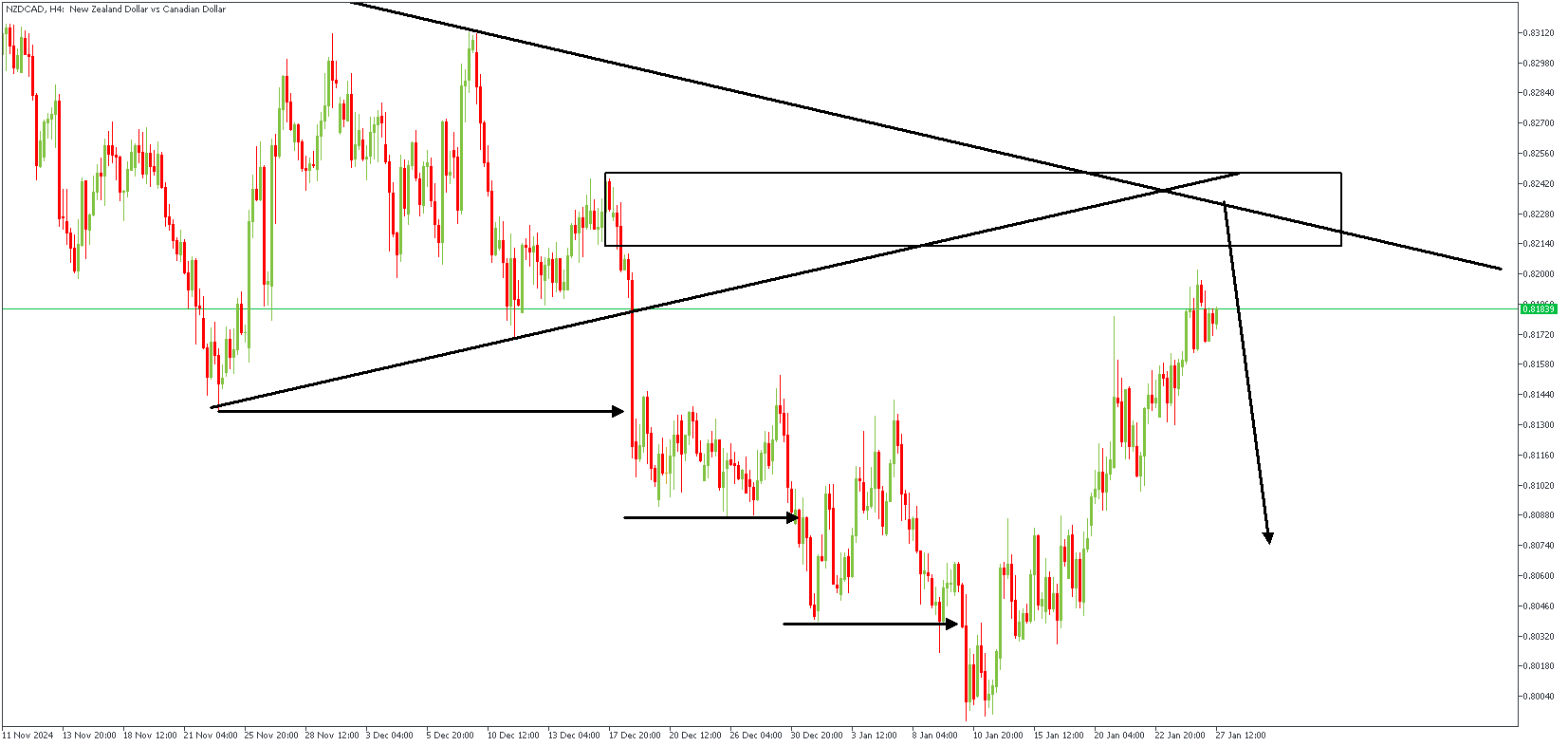 NZDCADH4_(6).png