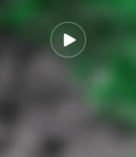 Video_8.webp