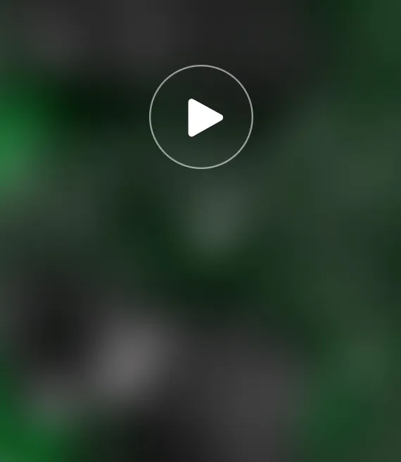 Video_10.webp