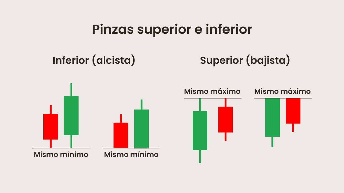 Diferencia entre las pinzas superiores y las inferiores