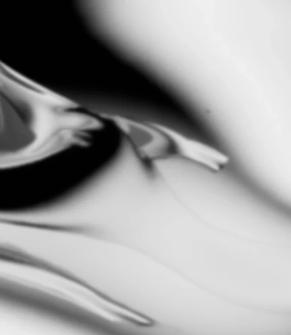 Handbook_11.webp