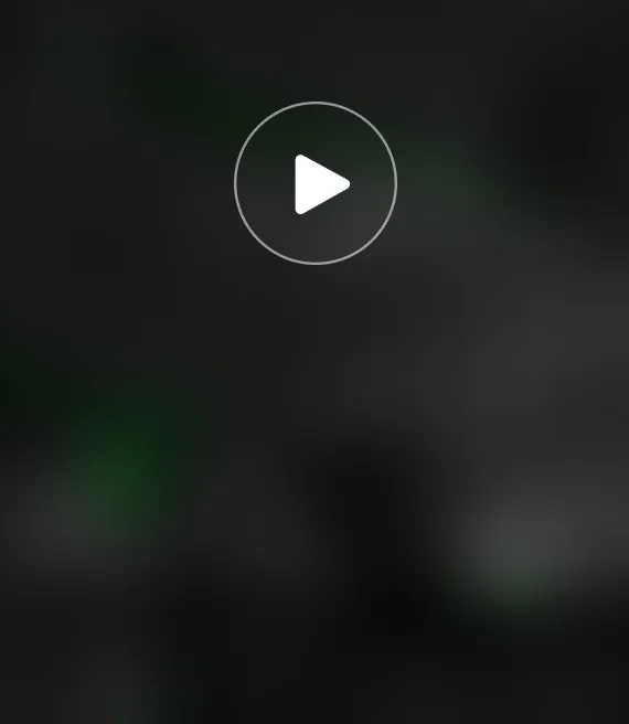 Video_5.webp