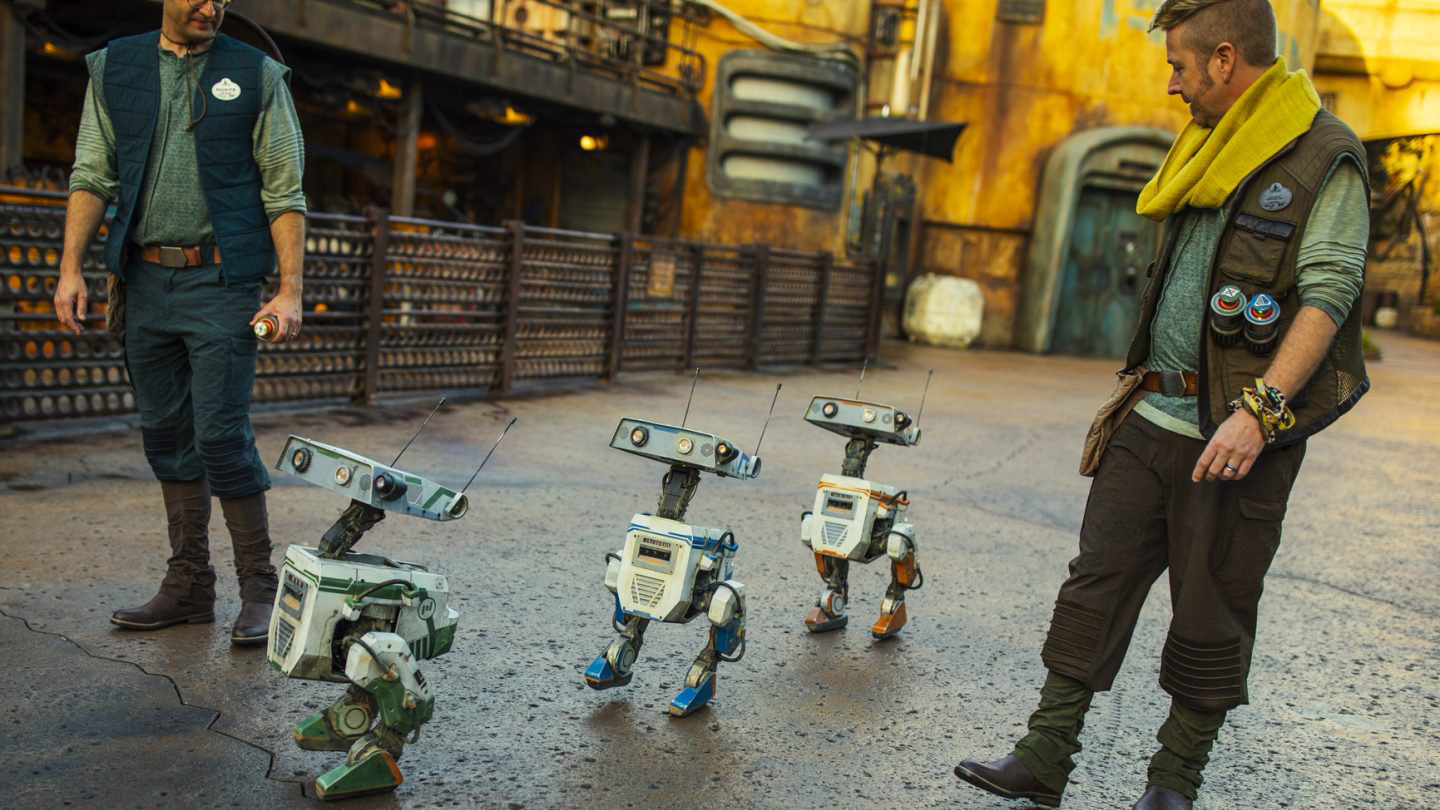 Disney's BDX droids in Galaxy's Edge. Two costumed humans guide a series of duck-like droids waddling through the park.