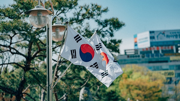 Two flags waving in front of a tree, both are the flag of South Korea Two flags waving in front of a tree, both are the flag of South Korea