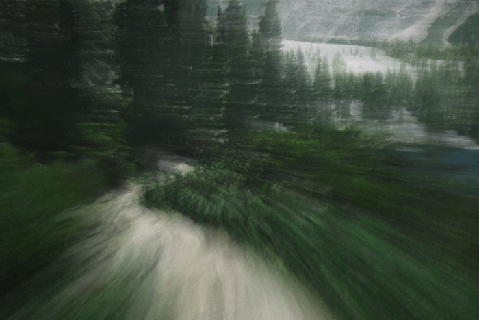 A long exposure image of an in-game path in the woods. A long exposure image of an in-game path in the woods.