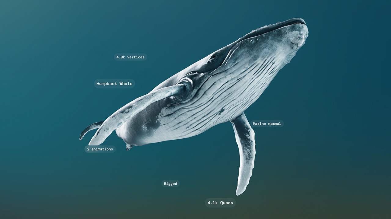 A screenshot of asset tags created by Loci A screenshot of asset tags created by Loci