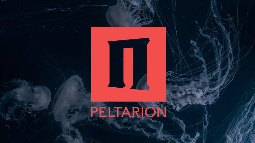 The Peltarion logo on a dark marbled background