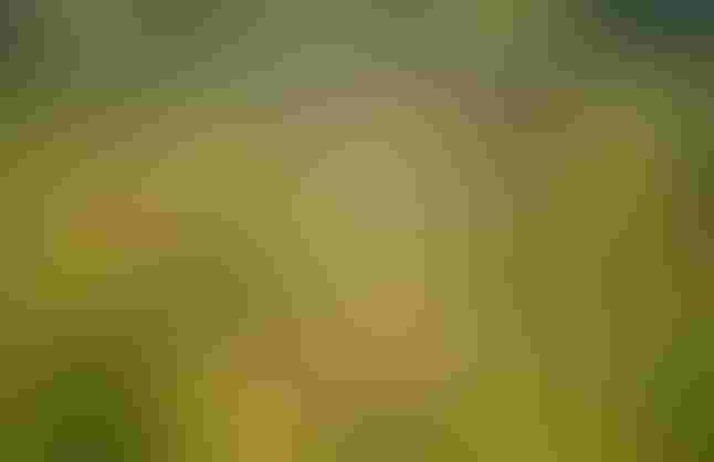 Color in games: An in-depth look at one of game design's most useful tools