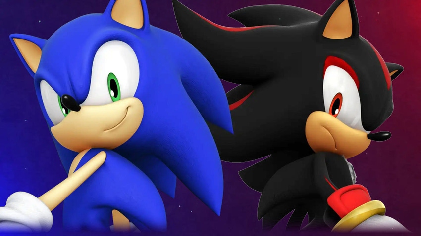 Sonic and Shadow the Hedgehog in Sonic x Shadow: Generations.