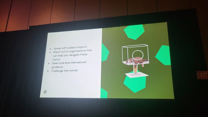 A slide from Phillip Ring's GDC 2023 presentation about DEI in The Sims 4.