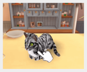 Cat Hotel
