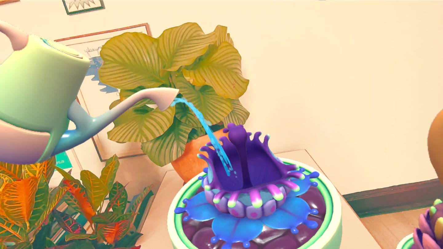 watering a blue and purple plant