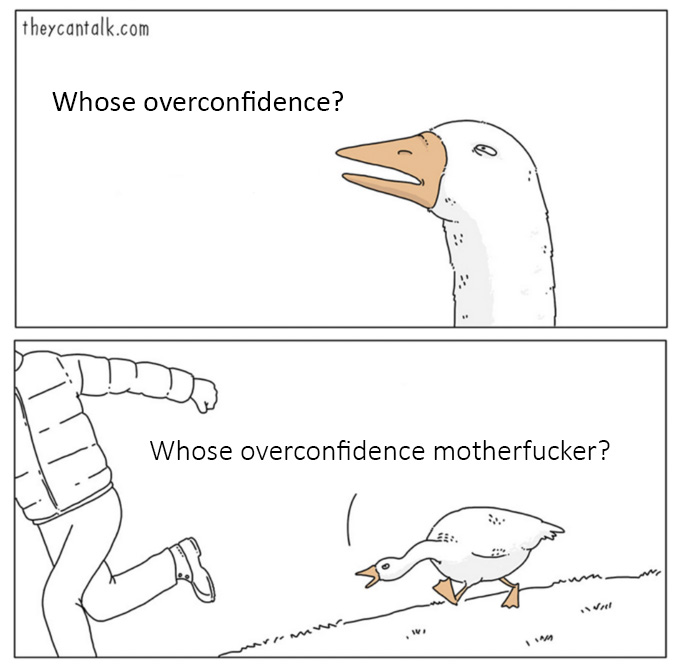 overconfidencememe.jpg