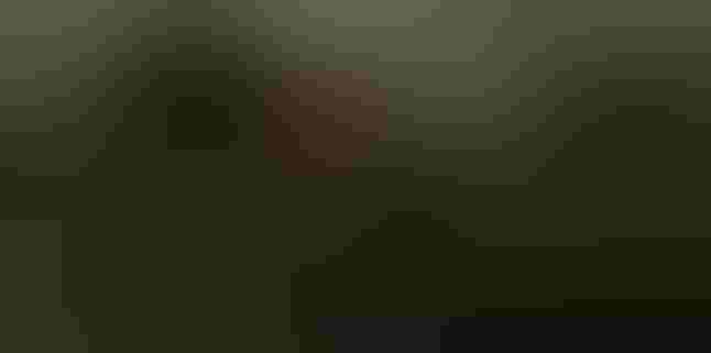 Color in games: An in-depth look at one of game design's most useful tools