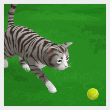 Cat stretch