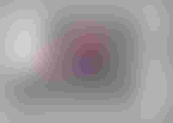 Integrating MaxScript and .NET Systems