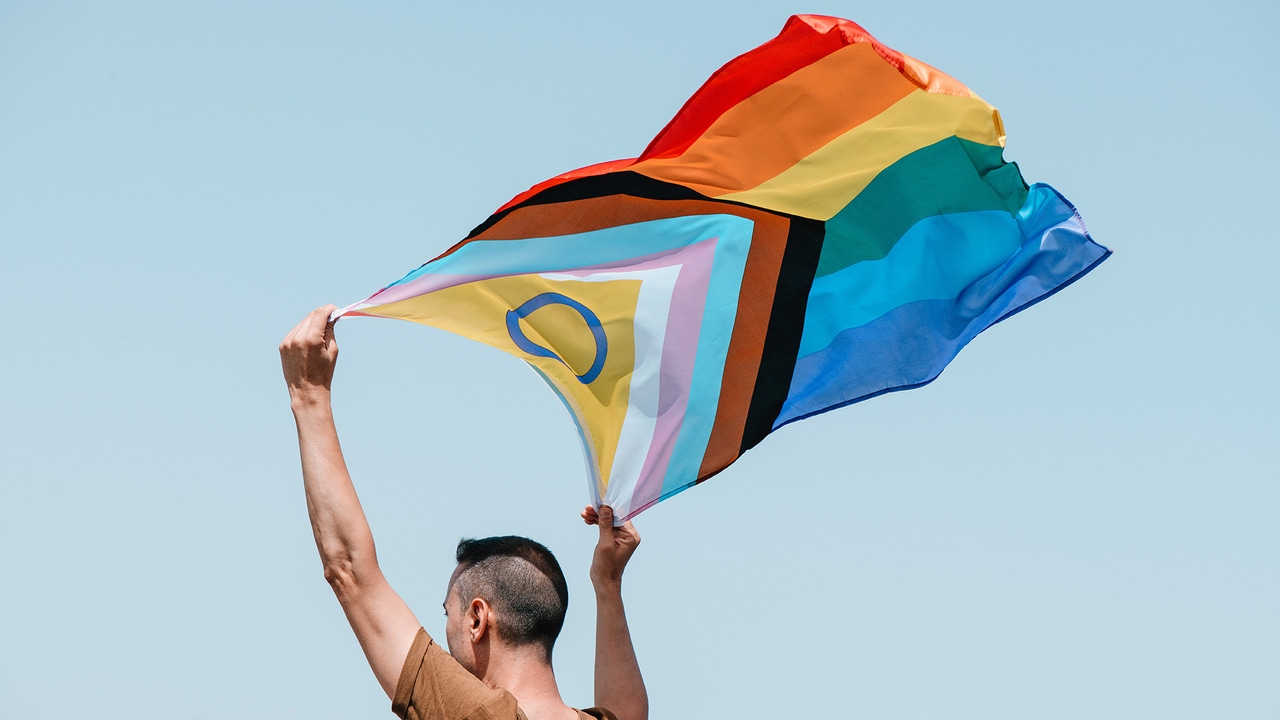 A person holds an LGBTQIA Pride flag over their head, facing away from the camera. A person holds an LGBTQIA Pride flag over their head, facing away from the camera.
