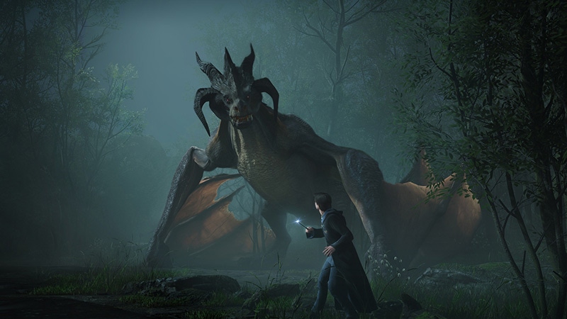 A screenshot from Hogwarts Legacy. The player character stares down a dragon.