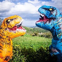 Two individuals in inflatable T-Rex costumes converse in a sunny field.