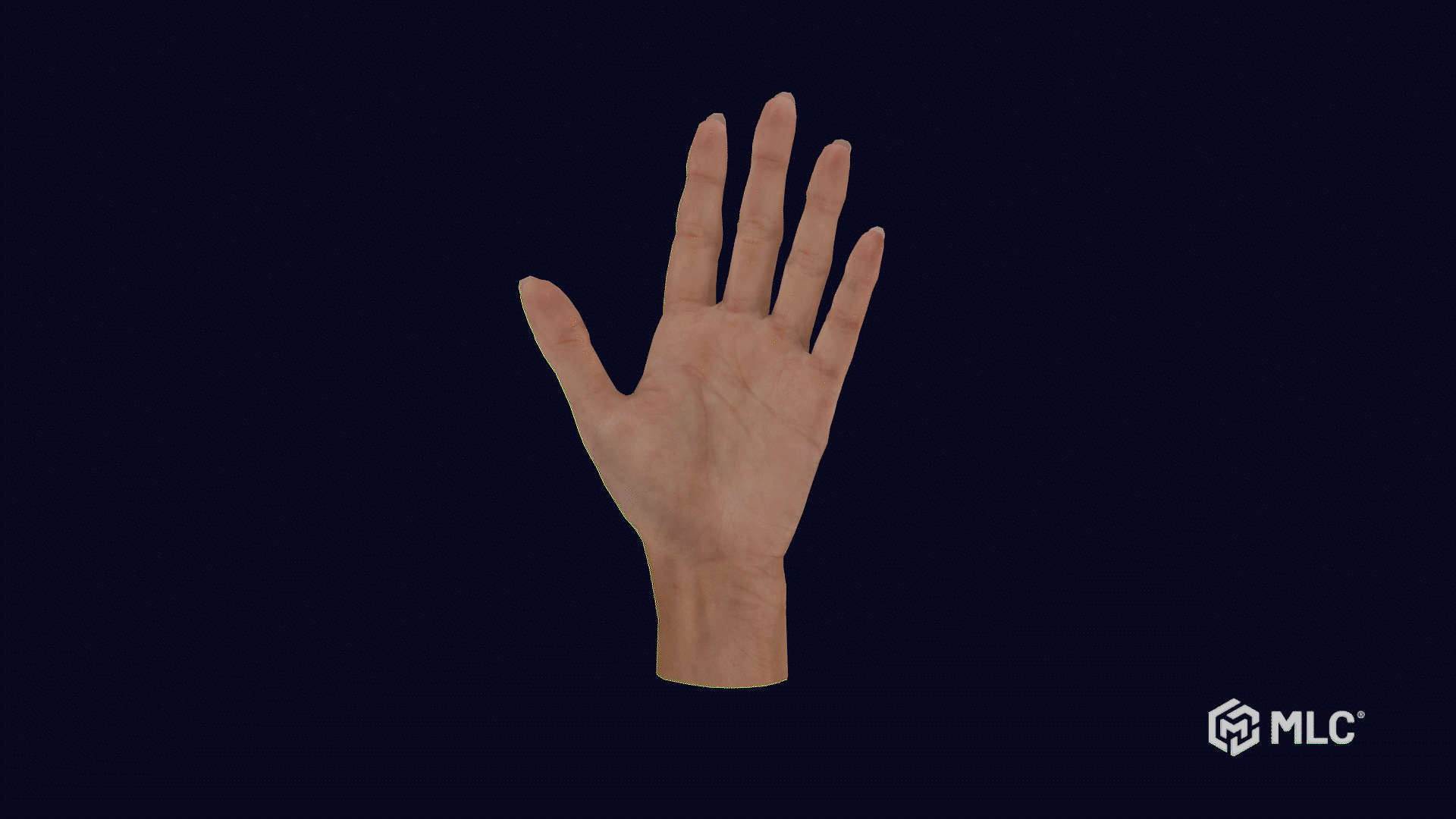 MLC_Hand_RigSample.gif