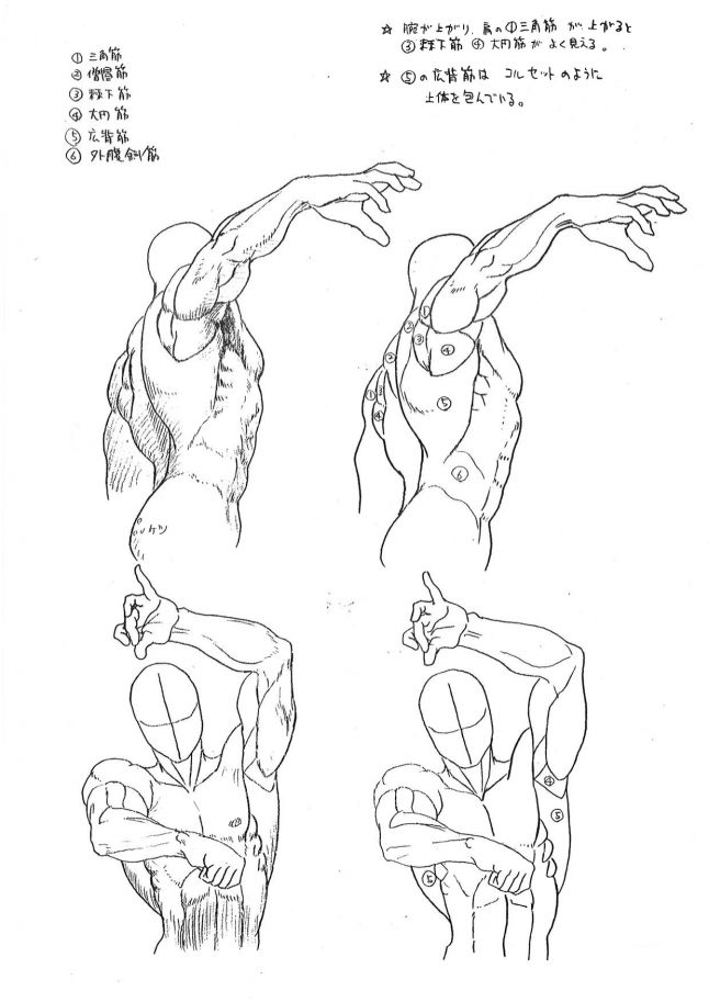 Have a gander at Capcom's anatomy guide for Street Fighter artists