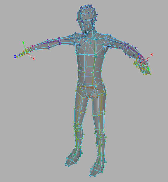 Skinned Mesh Export: Optimization