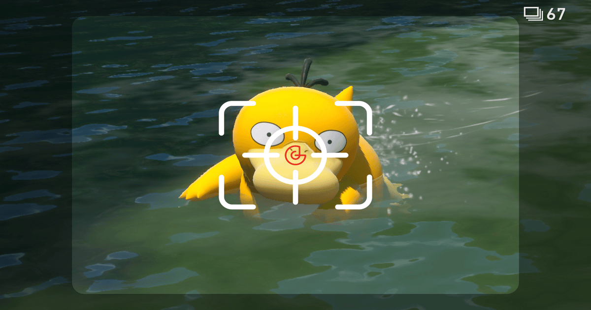 Welcome to Photography Week!