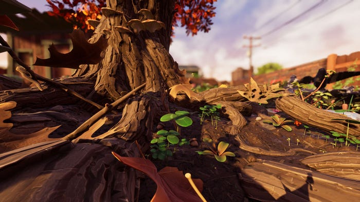 Grounded Oak Tree Grounded Oak Tree