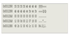 Debugging Memory Corruption in Game Development
