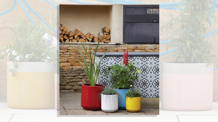 Pantone planters available now at Woolodge. Pantone planters available now at Woolodge.