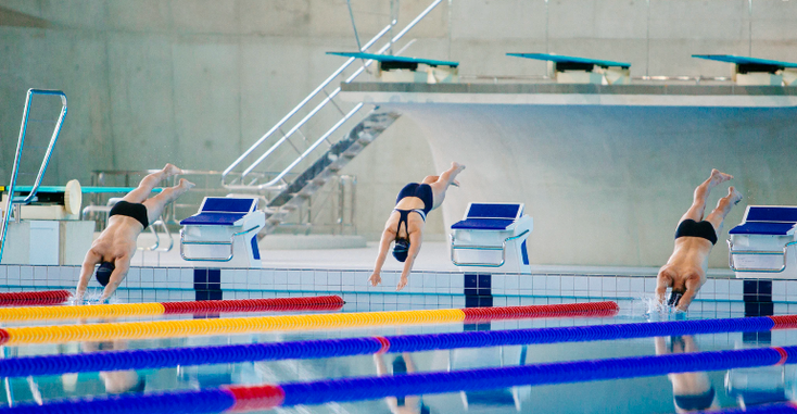 speedo.png speedo.png