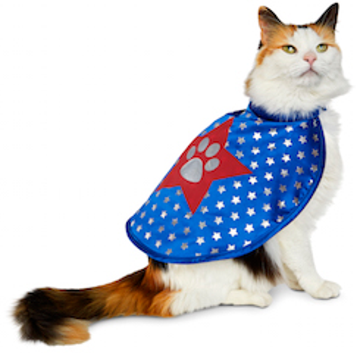 Petco Preps Pets for Halloween Petco Preps Pets for Halloween