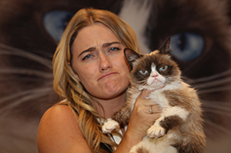 Grumpy Cat Tops Forbes Pet Influencers List Grumpy Cat Tops Forbes Pet Influencers List
