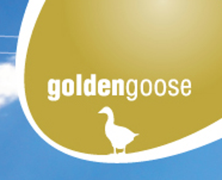 New Account Director Joins Golden Goose New Account Director Joins Golden Goose