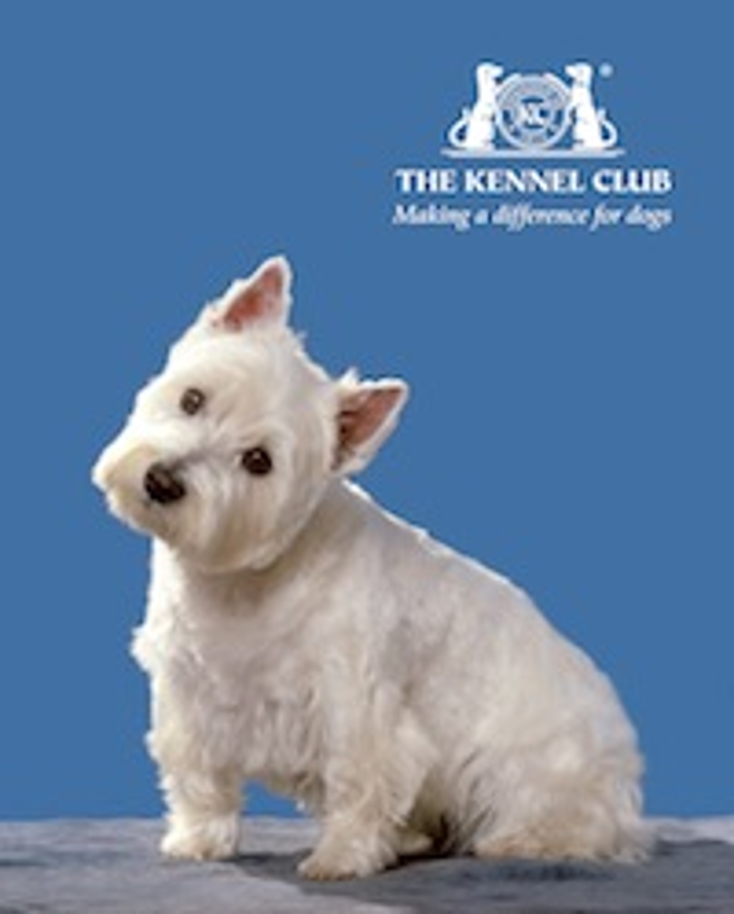 Kennel Club Inks U.K. Book Deal Kennel Club Inks U.K. Book Deal