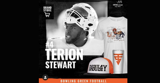 31522Terion.png