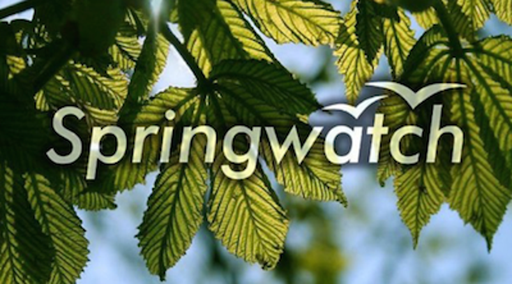 BWI to Rep BBC’s 'Springwatch' BWI to Rep BBC’s 'Springwatch'